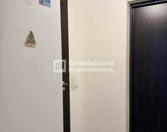 Студия 24.1 м² 12/20 этаж