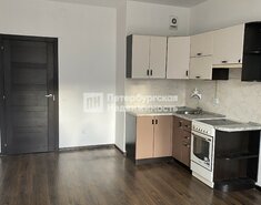 Студия 24.2 м² 8/16 этаж