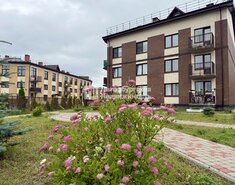 Студия 24.3 м² 3/3 этаж
