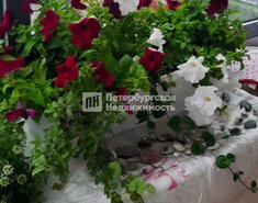 Студия 23.4 м² 4/5 этаж