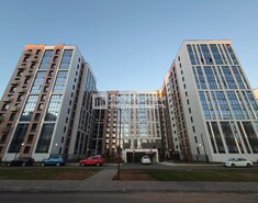 Студия 24.6 м² 7/12 этаж