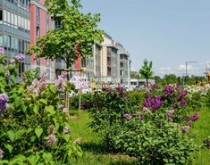 Студия 30.5 м² 3/5 этаж