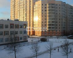 Студия 24.3 м² 3/19 этаж