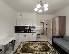 Студия 24.6 м² 1/14 этаж