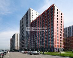 Студия 24.89 м² 12/23 этаж