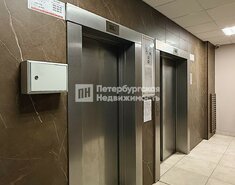 Студия 24.6 м² 5/12 этаж