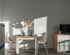 Студия 24.5 м² 12/12 этаж