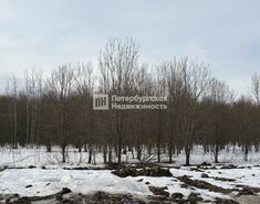 2-комн. кв. 54.33 м² 2/5 этаж