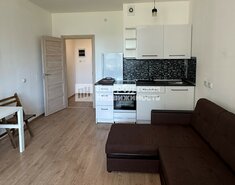 Студия 24.1 м² 3/9 этаж