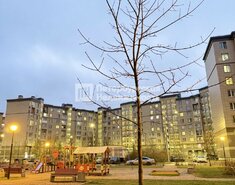 Студия 18.2 м² 9/9 этаж