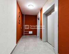 Студия 24.8 м² 8/12 этаж