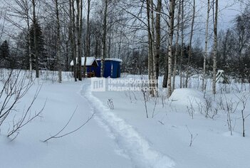 Земельный участок 119.8 сот. в деревня Борисово ул Лесная