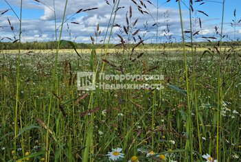 Земельный участок 7.54 сот. в тер СНТ Поляны массива Поркузи