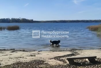 Земельный участок 108 м² в деревня Наволок