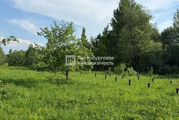 Земельный участок 119.8 сот. в деревня Борисово ул Лесная