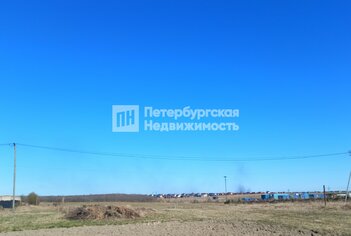Земельный участок 12.5 сот. в деревня Дятлицы, д96