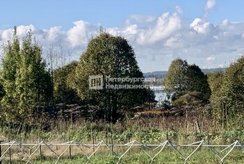 Земельный участок 12.15 сот. в гп Рощино