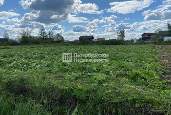 Земельный участок 12 сот. в деревня Ладога ул Тосненская