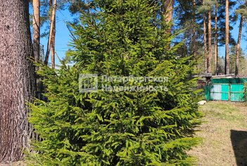 Земельный участок 98 м² в  ул Державинская, д26
