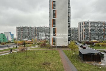 Студия 24 м² 2/12 этаж