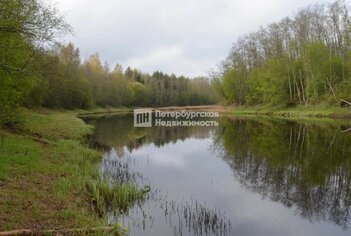 Земельный участок 129 сот. в деревня Гусли