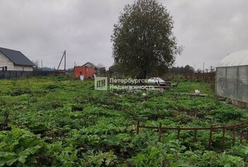 Земельный участок 50 сот. в деревня Большая Вруда ул Тенистая