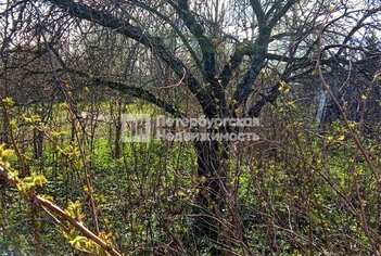 Земельный участок 45 м² в тер. СНТ Щеглово-2 (поселок Щеглово) ул 8-я линия, д255уч