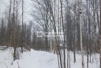 Земельный участок 12 сот. в тер Поляна снт ул Весенняя