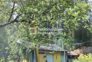 Земельный участок 98 м² в  ул Державинская, д26