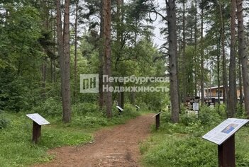 Земельный участок 10.5 сот. в гп имени Морозова Сосновый пер