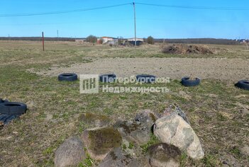 Земельный участок 12.5 сот. в деревня Дятлицы, д96