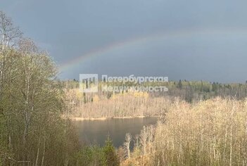 Земельный участок 167 сот. в деревня Борисово ул Лесная