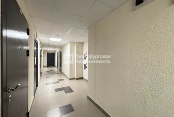 Студия 25.4 м² 11/16 этаж