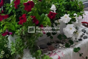 Студия 23.4 м² 4/5 этаж