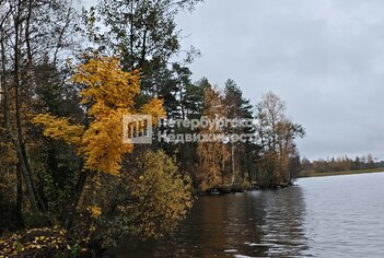 Земельный участок 18 сот. в поселок Ларионово ул Заречная