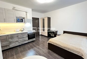 Студия 24.8 м² 10/15 этаж