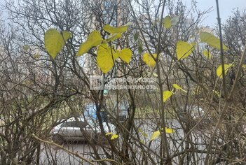 1-комн. кв. 33.2 м² 1/9 этаж