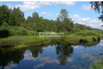 Земельный участок 129 сот. в деревня Гусли