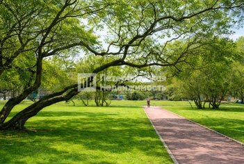 3-комн. кв. 66.5 м² 1/7 этаж