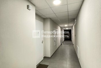 Студия 27.1 м² 6/12 этаж