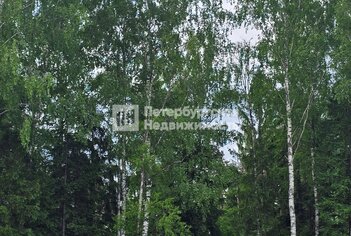 1-комн. кв. 38.1 м² 1/4 этаж