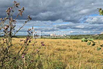 Земельный участок 7.54 сот. в тер СНТ Поляны массива Поркузи