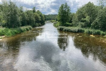 Земельный участок 129 сот. в деревня Гусли