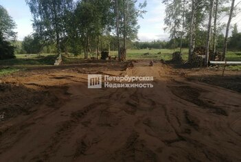 Земельный участок 119.8 сот. в деревня Борисово ул Лесная