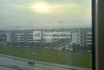 Студия 24.8 м² 7/12 этаж