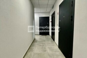 Студия 24.13 м² 3/5 этаж