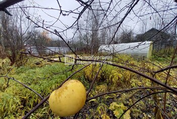 Дача 52.1 м² в тер. СНТ Приозёрный