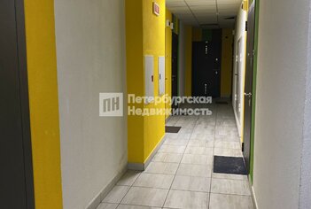 Студия 24.2 м² 8/16 этаж