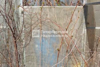 Земельный участок 45 м² в тер. СНТ Щеглово-2 (поселок Щеглово) ул 8-я линия, д255уч