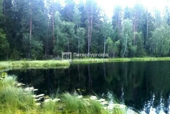 Земельный участок 152 сот. в деревня Жог